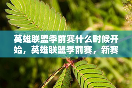 英雄联盟季前赛什么时候开始，英雄联盟季前赛，新赛季的变革与挑战