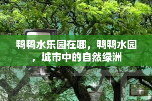 鸭鸭水乐园在哪，鸭鸭水园，城市中的自然绿洲