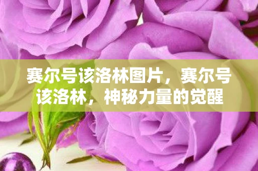 赛尔号该洛林图片，赛尔号该洛林，神秘力量的觉醒