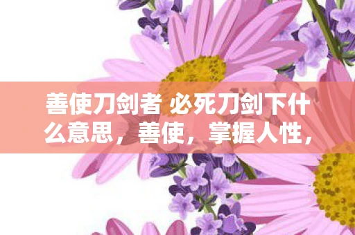 善使刀剑者 必死刀剑下什么意思，善使，掌握人性，成就卓越
