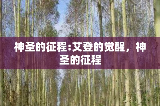 神圣的征程:艾登的觉醒，神圣的征程