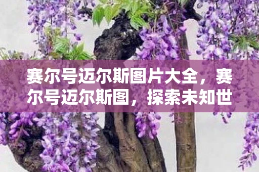 赛尔号迈尔斯图片大全，赛尔号迈尔斯图，探索未知世界的神秘之旅
