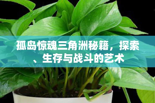 孤岛惊魂三角洲秘籍图片