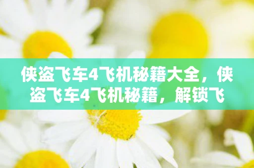 侠盗飞车4飞机秘籍大全，侠盗飞车4飞机秘籍，解锁飞行乐趣的秘籍指南