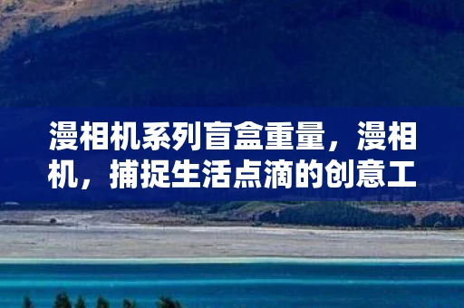 漫相机系列盲盒重量，漫相机，捕捉生活点滴的创意工具