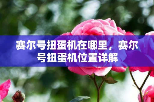 赛尔号扭蛋机在哪里，赛尔号扭蛋机位置详解