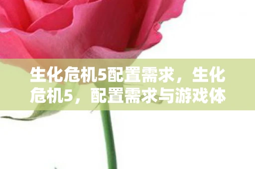 生化危机5配置需求，生化危机5，配置需求与游戏体验