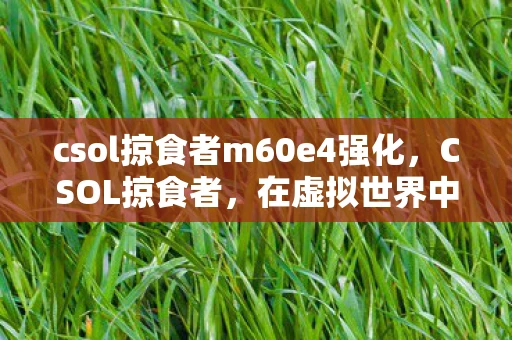 csol掠食者m60e4强化，CSOL掠食者，在虚拟世界中的生存法则