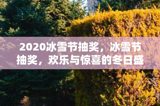 2020冰雪节抽奖，冰雪节抽奖，欢乐与惊喜的冬日盛宴