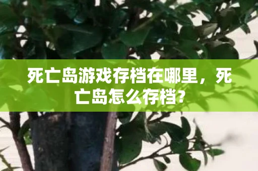 死亡岛游戏存档在哪里，死亡岛怎么存档？