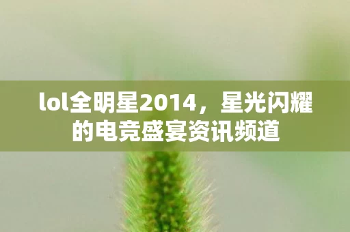 星光闪耀的电竞盛宴资讯频道图片