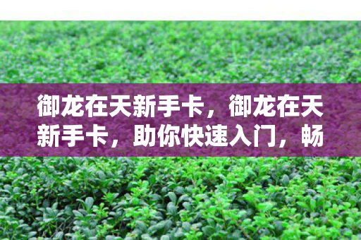 御龙在天新手卡，御龙在天新手卡，助你快速入门，畅游游戏世界