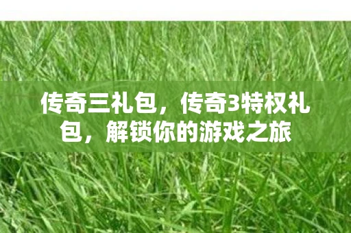 传奇三礼包，传奇3特权礼包，解锁你的游戏之旅