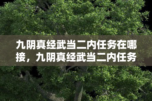 九阴真经武当二内任务在哪接，九阴真经武当二内任务全解析，探寻古老秘籍的奥秘