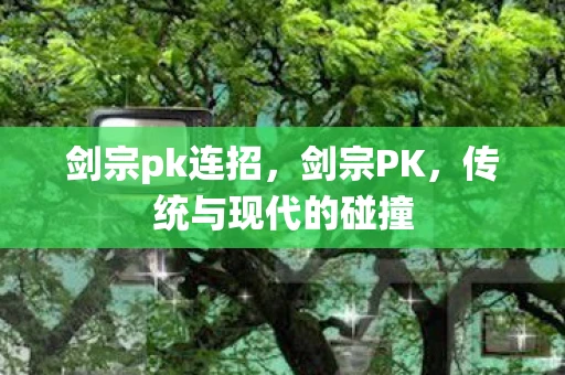 剑宗pk连招，剑宗PK，传统与现代的碰撞