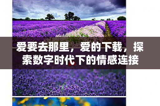 爱要去那里，爱的下载，探索数字时代下的情感连接