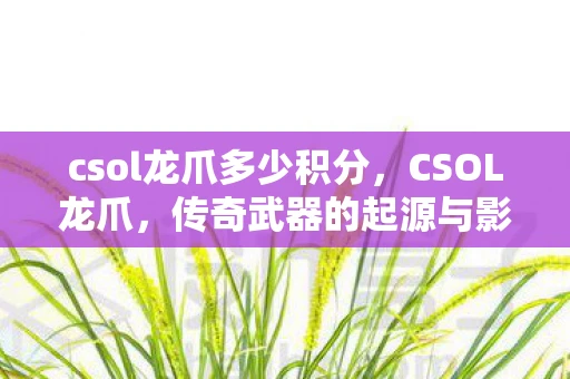 csol龙爪多少积分，CSOL龙爪，传奇武器的起源与影响