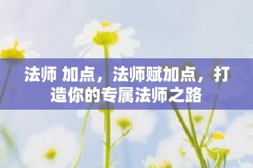 法师 加点，法师赋加点，打造你的专属法师之路
