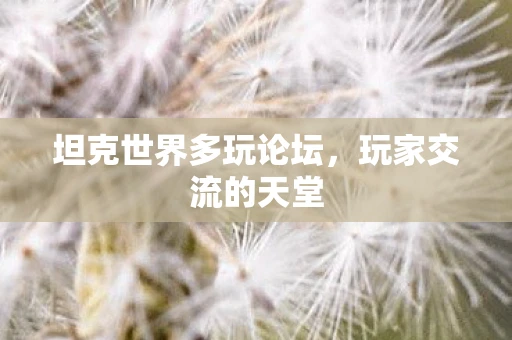 坦克世界多玩论坛，玩家交流的天堂