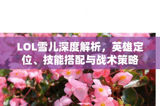 LOL雪儿深度解析图片