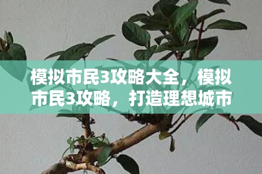 模拟市民3攻略大全，模拟市民3攻略，打造理想城市，成就无限可能