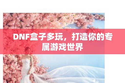 DNF盒子多玩，打造你的专属游戏世界