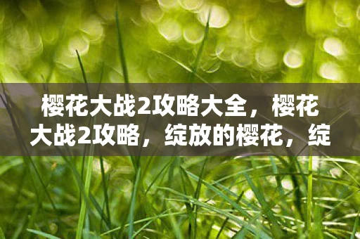 樱花大战2攻略大全，樱花大战2攻略，绽放的樱花，绽放的胜利
