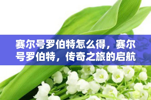 赛尔号罗伯特怎么得，赛尔号罗伯特，传奇之旅的启航者