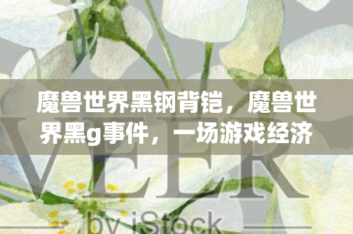 魔兽世界黑钢背铠，魔兽世界黑g事件，一场游戏经济系统的挑战