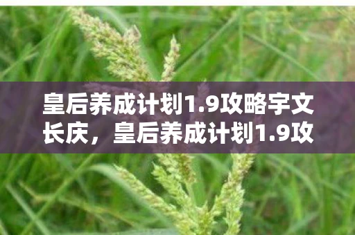 皇后养成计划1.9攻略宇文长庆，皇后养成计划1.9攻略