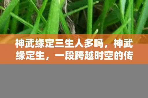 神武缘定三生人多吗，神武缘定生，一段跨越时空的传奇