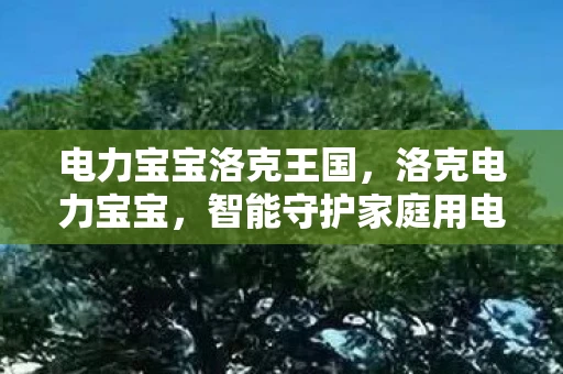 电力宝宝洛克王国，洛克电力宝宝，智能守护家庭用电安全