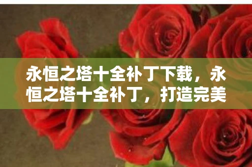 永恒之塔十全补丁下载，永恒之塔十全补丁，打造完美游戏体验的必备神器
