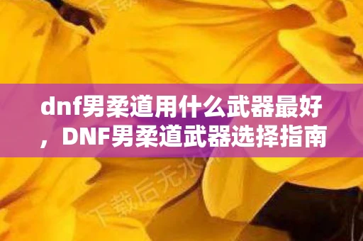 dnf男柔道用什么武器最好，DNF男柔道武器选择指南，打造最强战斗力的必备利器
