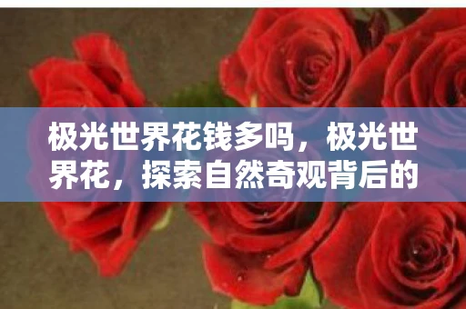 极光世界花钱多吗，极光世界花，探索自然奇观背后的奥秘