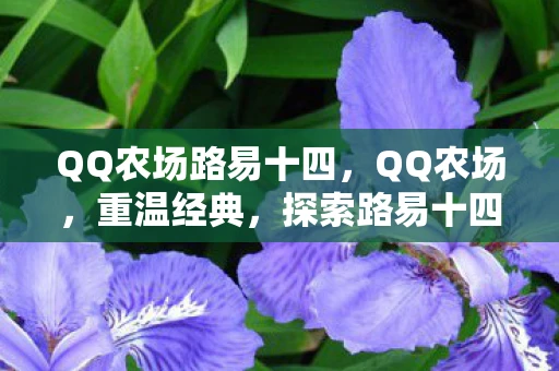 QQ农场路易十四，QQ农场，重温经典，探索路易十四的田园之旅