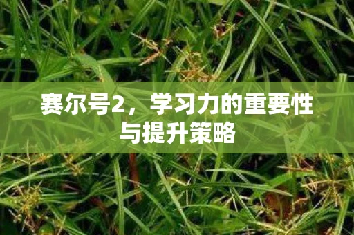 赛尔号2，学习力的重要性与提升策略