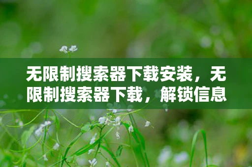 无限制搜索器下载安装，无限制搜索器下载，解锁信息海洋的钥匙