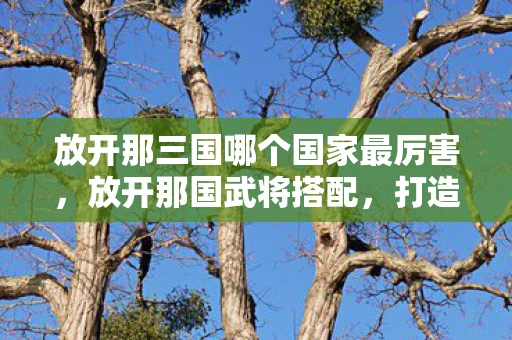 放开那三国哪个国家最厉害，放开那国武将搭配，打造最强战斗阵容