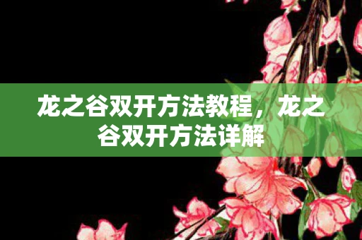 龙之谷双开方法教程，龙之谷双开方法详解