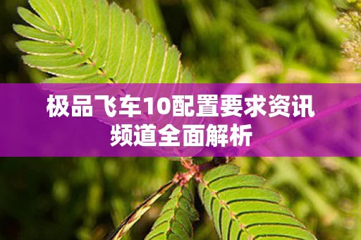 极品飞车10配置要求资讯频道全面解析图片