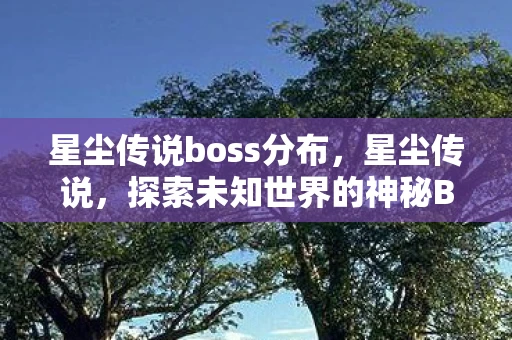 星尘传说boss分布，星尘传说，探索未知世界的神秘BOSS