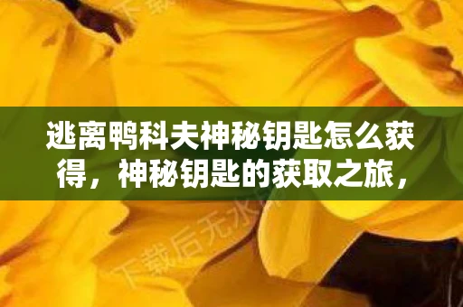 逃离鸭科夫神秘钥匙怎么获得，神秘钥匙的获取之旅，解锁未知世界的秘密