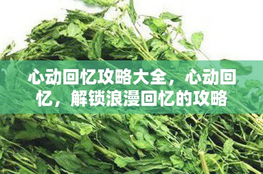 心动回忆攻略大全，心动回忆，解锁浪漫回忆的攻略