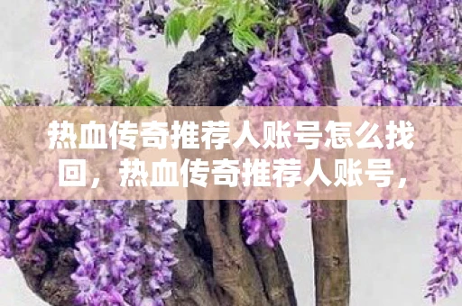 热血传奇推荐人账号怎么找回，热血传奇推荐人账号，传奇之路的引路人