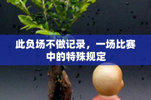 此负场不做记录，一场比赛中的特殊规定