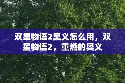 双星物语2奥义怎么用，双星物语2，重燃的奥义
