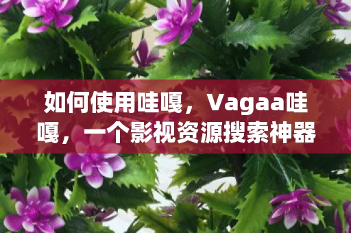 如何使用哇嘎，Vagaa哇嘎，一个影视资源搜索神器
