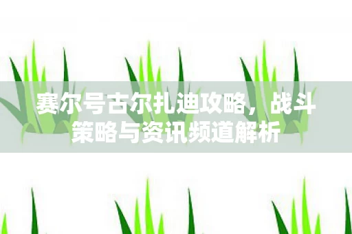战斗策略与资讯频道解析图片