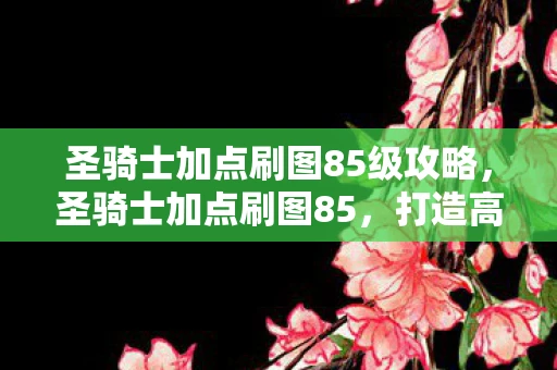 圣骑士加点刷图85级攻略，圣骑士加点刷图85，打造高效战斗力的关键